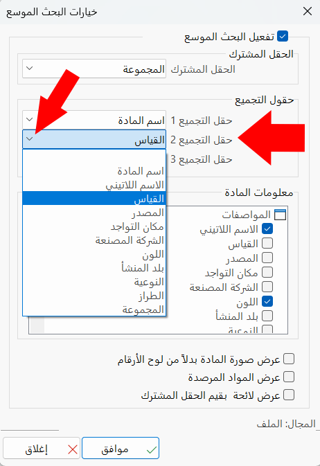 البحث الموسع