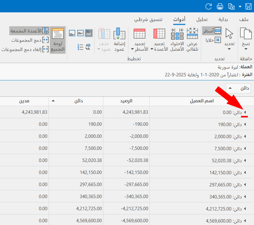 خيارات التقارير